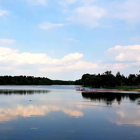 Pod Różami