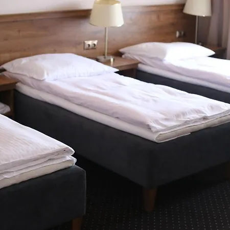 Pod Rozami Hotell 2*