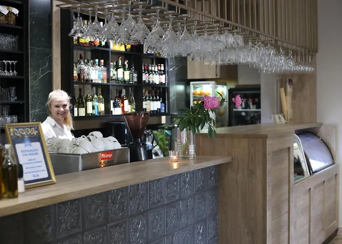 Pod Różami Hotel 2*