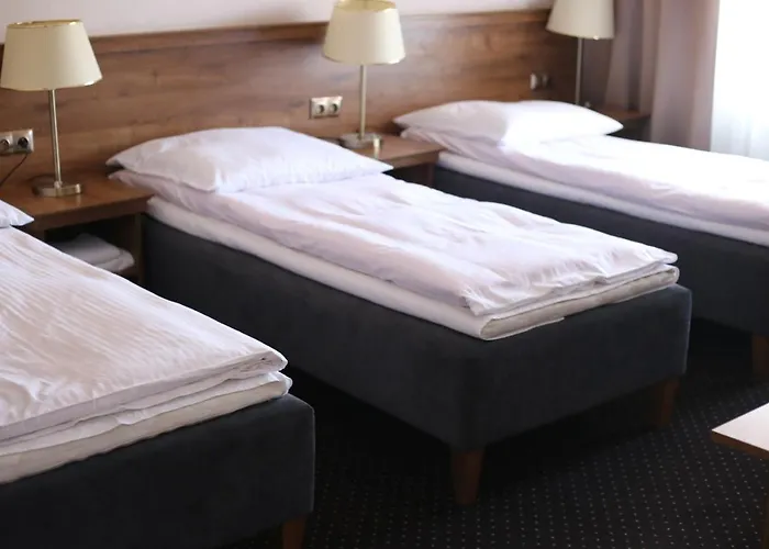 Pod Różami Hotel 2*